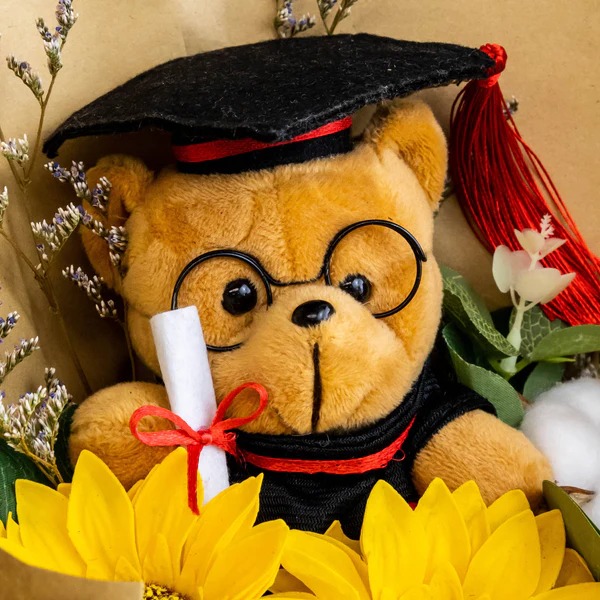 Graduation Teddy Bear